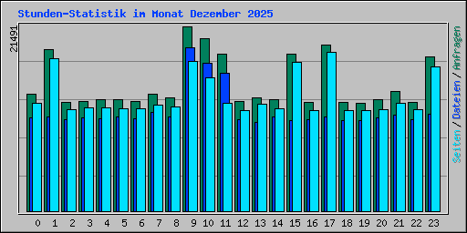Stunden-Statistik im Monat Dezember 2025