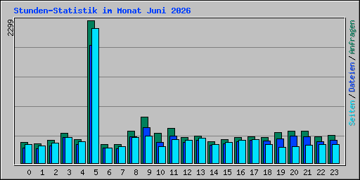 Stunden-Statistik im Monat Juni 2026
