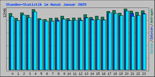 Stunden-Statistik im Monat Januar 2025