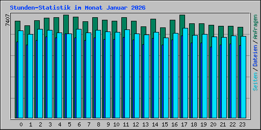 Stunden-Statistik im Monat Januar 2026